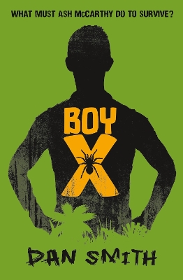 Book cover for Boy X