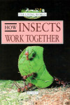 Book cover for How Insects Work Together