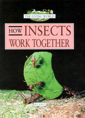 Book cover for How Insects Work Together