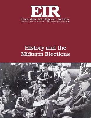 Book cover for History and the Midterm Elections