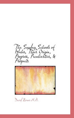 Book cover for The Sunday Schools of Wales, Their Origin, Progress, Peculiarities, & Prospects