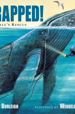 Cover of Trapped! A Whale's Rescue