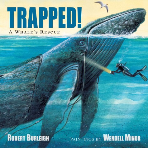 Book cover for Trapped! A Whale's Rescue