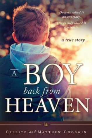 Cover of A Boy Back from Heaven