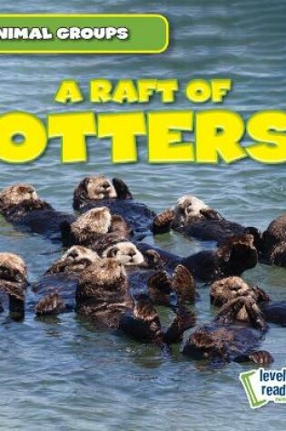 Cover of A Raft of Otters