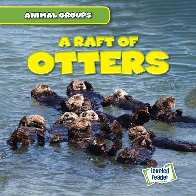 Cover of A Raft of Otters