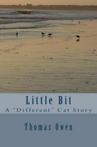 Cover of Little Bit