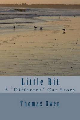 Book cover for Little Bit