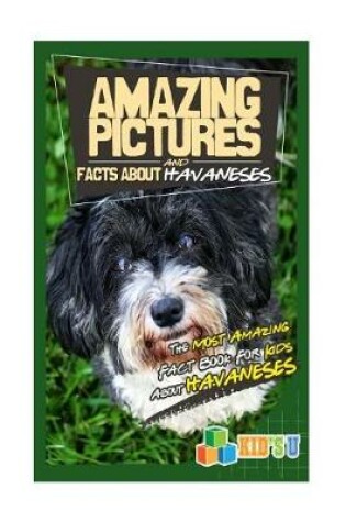Cover of Amazing Pictures and Facts about Havaneses