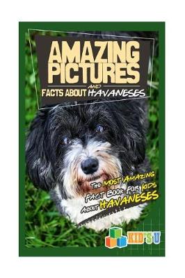 Book cover for Amazing Pictures and Facts about Havaneses