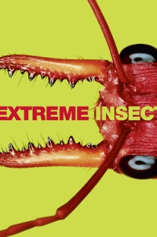 Cover of Extreme Insects