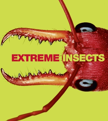 Book cover for Extreme Insects