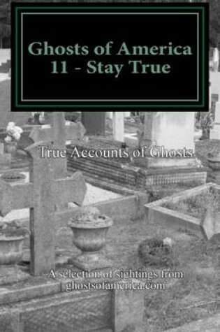 Cover of Ghosts of America 11 - Stay True