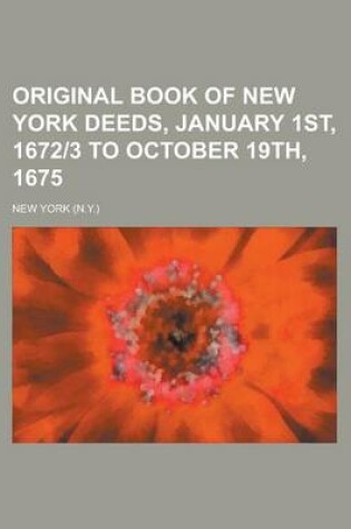 Cover of Original Book of New York Deeds, January 1st, 1672]3 to October 19th, 1675 (Volume 46)