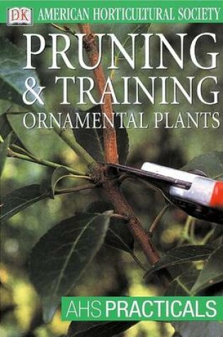 Cover of Pruning & Training