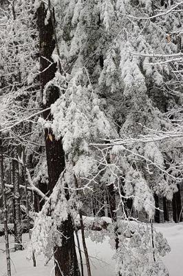 Cover of Winter Season Journal Snowy Woods