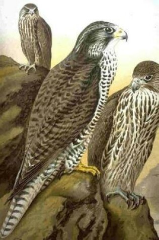 Cover of Painting of a Brown Morph Gryfalcon Journal