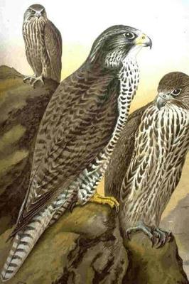 Book cover for Painting of a Brown Morph Gryfalcon Journal