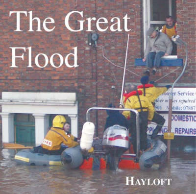 Book cover for The Great Flood