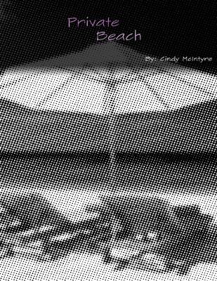 Book cover for Private Beach