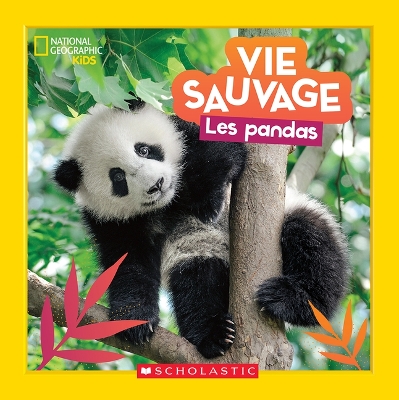 Book cover for National Geographic Kids: Vie Sauvage: Les Pandas