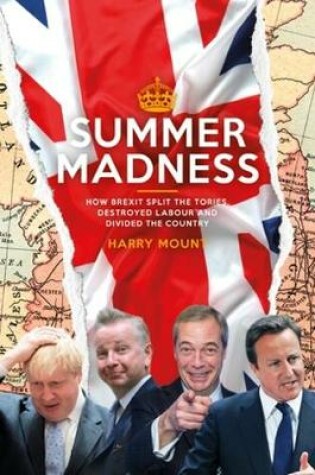 Cover of Summer Madness