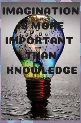 Cover of Imagination Is More Important Than Knowledge