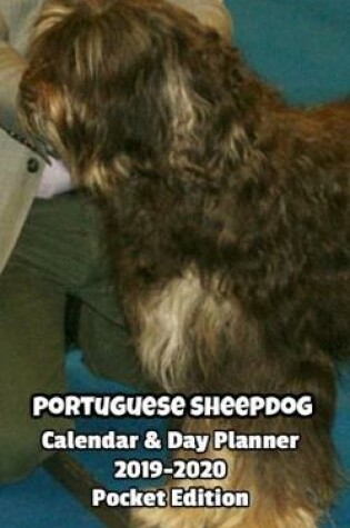 Cover of Portuguese Sheepdog Calendar & Day Planner 2019-2020 Pocket Edition