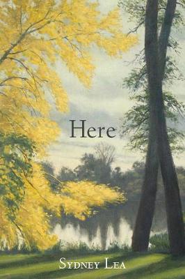 Book cover for Here