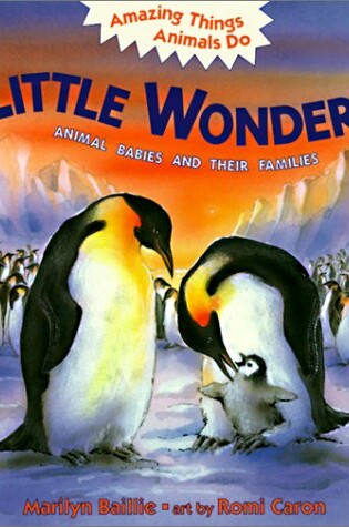 Cover of Little Wonders