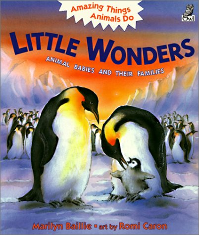 Cover of Little Wonders