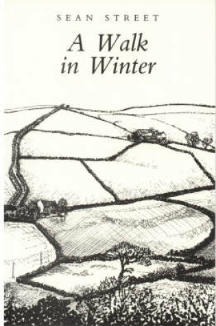 Cover of A Walk in Winter