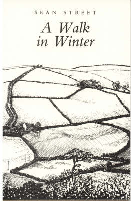 Book cover for A Walk in Winter