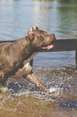 Cover of Pit Bull Dog Playing in the Lake