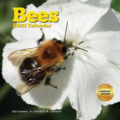 Book cover for Bees Calendar 2021