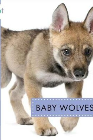 Cover of Baby Wolves