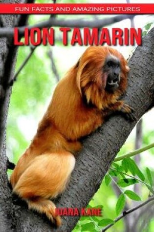 Cover of Lion Tamarin