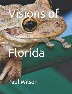 Book cover for Visions of Florida