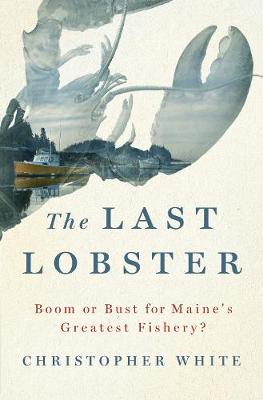 Book cover for The Last Lobster