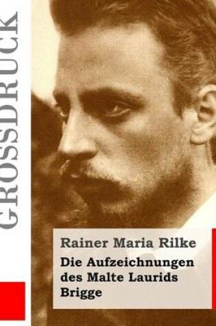Cover of Die Aufzeichnungen des Malte Laurids Brigge (Großdruck)