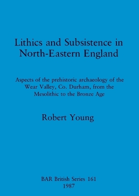 Book cover for Lithics and Subsistence in North-eastern England