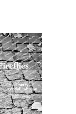 Book cover for More Fireflies