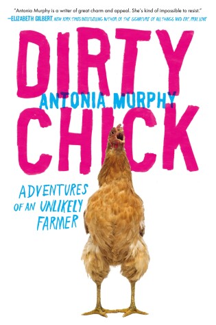 Cover of Dirty Chick
