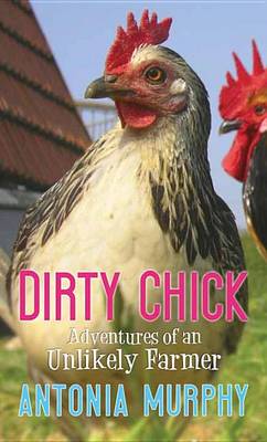Book cover for Dirty Chick
