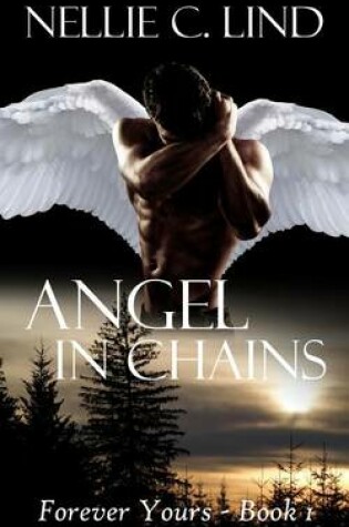 Cover of Angel in Chains