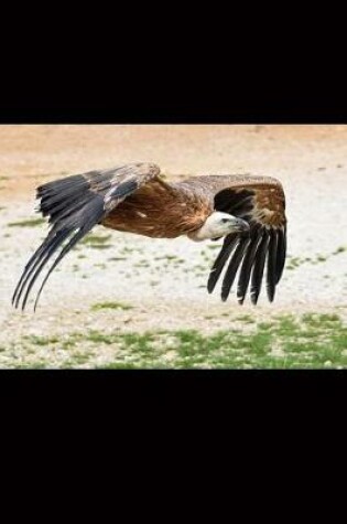 Cover of Griffon Vulture in Flight Journal