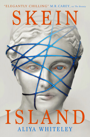 Book cover for Skein Island