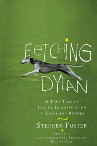 Cover of Fetching Dylan