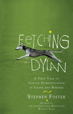 Book cover for Fetching Dylan