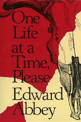 Book cover for One Life at a Time, Please